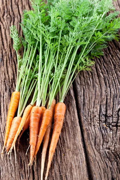 Zanahorias con hojas —  Fotos de Stock