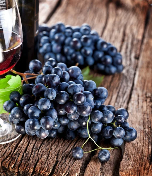 Grapes — Stock Photo © Valentyn_Volkov 11956596