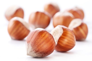 fındık kajuya izole