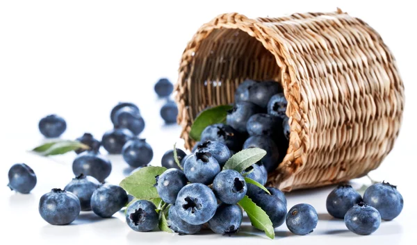 Blaubeeren fallen aus dem Korb. — Stockfoto