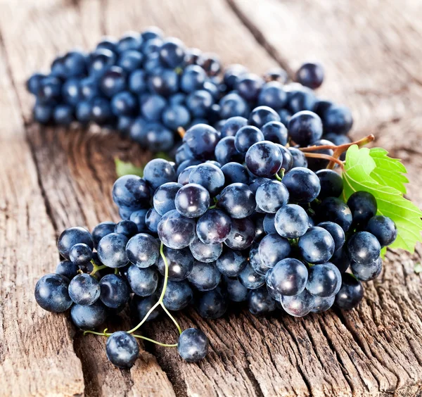 Grapes — Stock Photo, Image