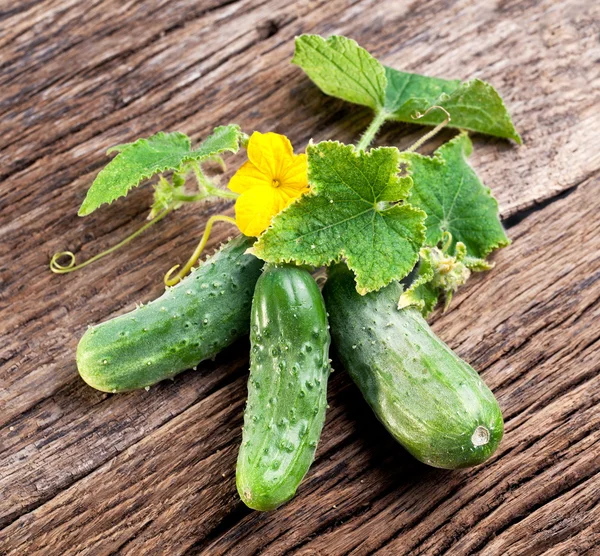 Cucumbers with leaves — Stock Photo, Image