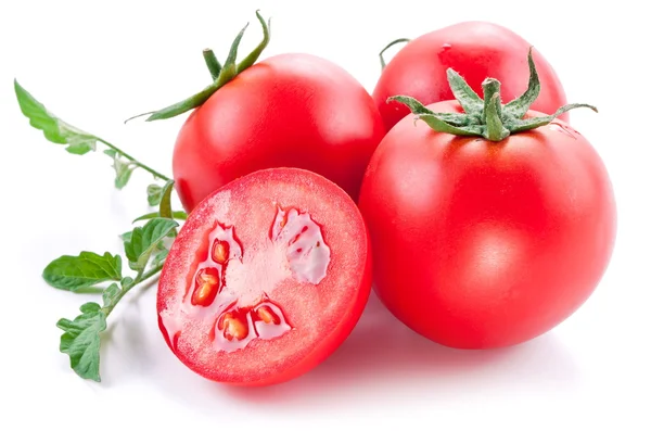 Tomates — Foto de Stock