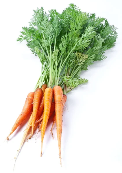 Carrots with leaves — Stock Photo, Image