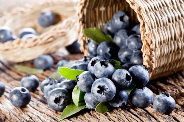 Blaubeeren sind aus dem Korb gefallen — Stockfoto