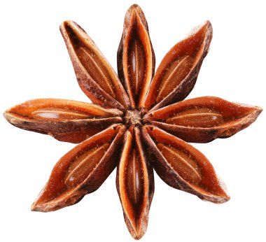 Anason star beyaz zemin üzerine.