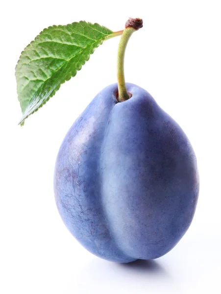 Plums with a slice and leaf — Stock Photo, Image