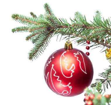 Noel top FIR dallar.
