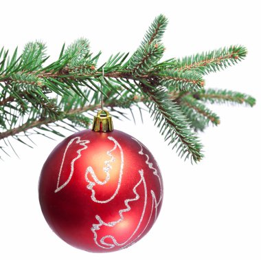çam dalları üzerinde Noel top. beyaz izole.