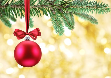 Noel top FIR dallar.