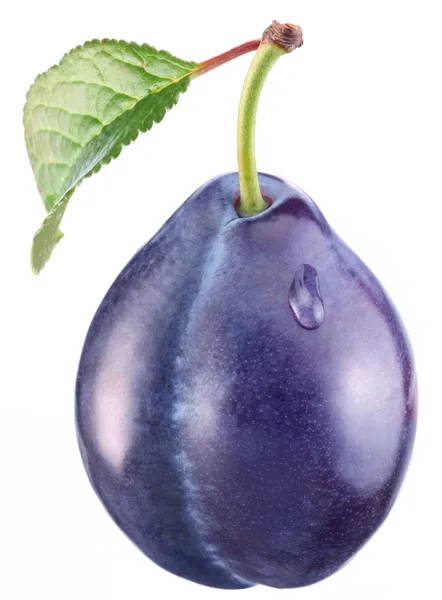 Plum with a leaf — Stock Photo, Image