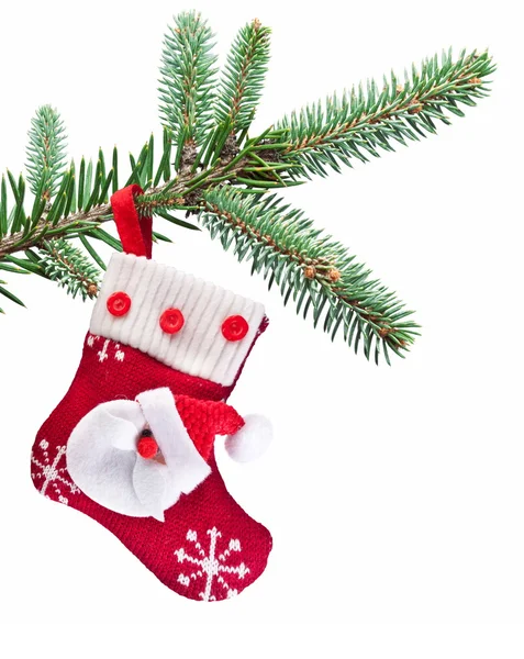 Vánoční ponožka s santa claus na větvi jedle. — Stock fotografie