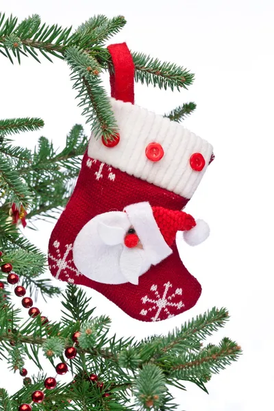 Κάλτσα των Χριστουγέννων με τον Άγιο Βασίλη για σε κλαδί έλατου. — Φωτογραφία Αρχείου