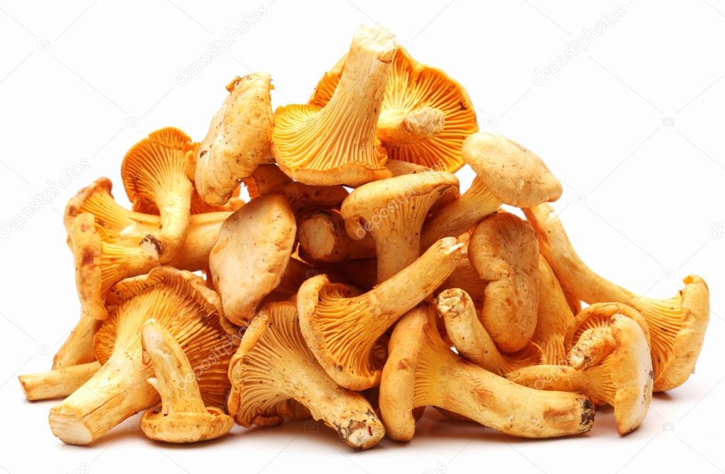 Chanterelles mushrooms.
