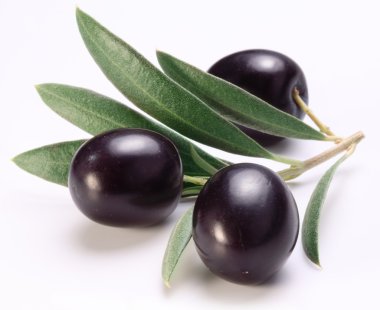 yaprakları ile Konfit Siyah Zeytin.