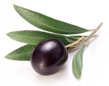 Olgun Siyah Zeytin ile yaprakları.
