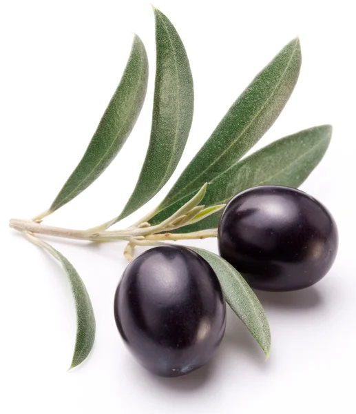 Aceitunas negras maduras con hojas . — Foto de Stock