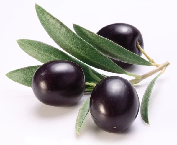 Ripe black olives with leaves. — Stock Photo, Image