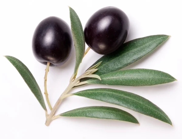 Mogna svarta oliver med blad. — Stockfoto