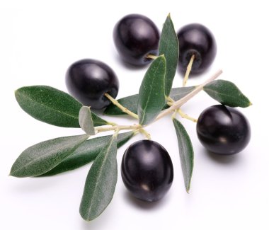 yaprakları ile Konfit Siyah Zeytin.