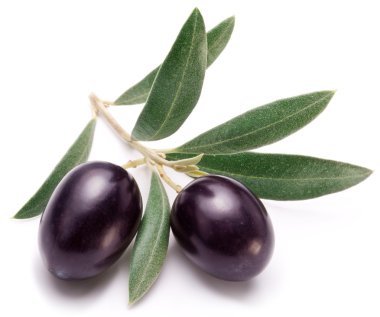 yaprakları ile Konfit Siyah Zeytin.