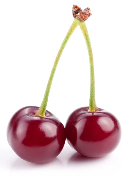 Two cherries — Stock Photo, Image