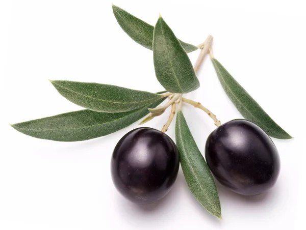 Aceitunas negras maduras con hojas . — Foto de Stock