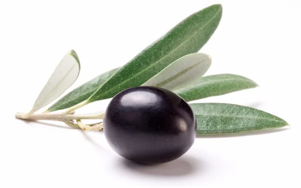 Rijpe zwarte olijven met bladeren. — Stockfoto