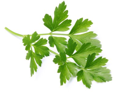 Parsley. clipart