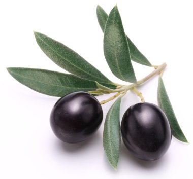 yaprakları ile Konfit Siyah Zeytin.