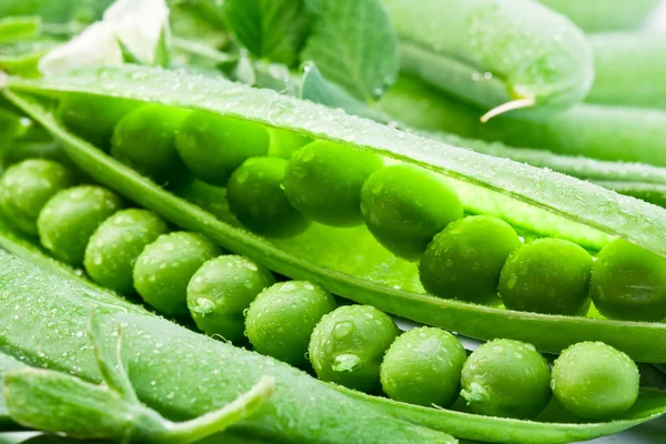 Pods of green peas on a background of leaves. — Stock Photo, Image