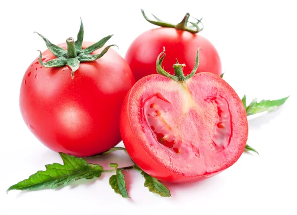 Tomaten — Stockfoto