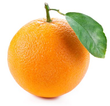 turuncu yaprak beyaz zemin üzerine.