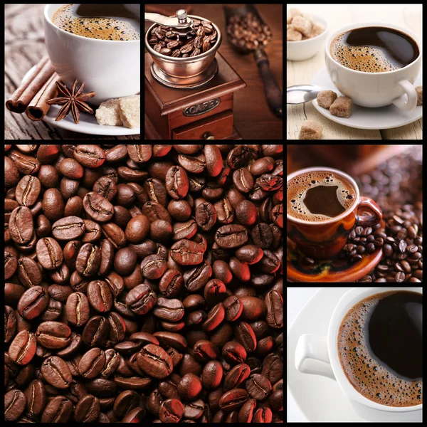Collection of coffee. — Stock Photo, Image