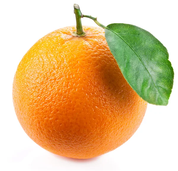 Оранжевый с листочком на белом фоне . — стоковое фото