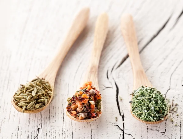 Variety of spices in the spoons. — Stock Photo, Image