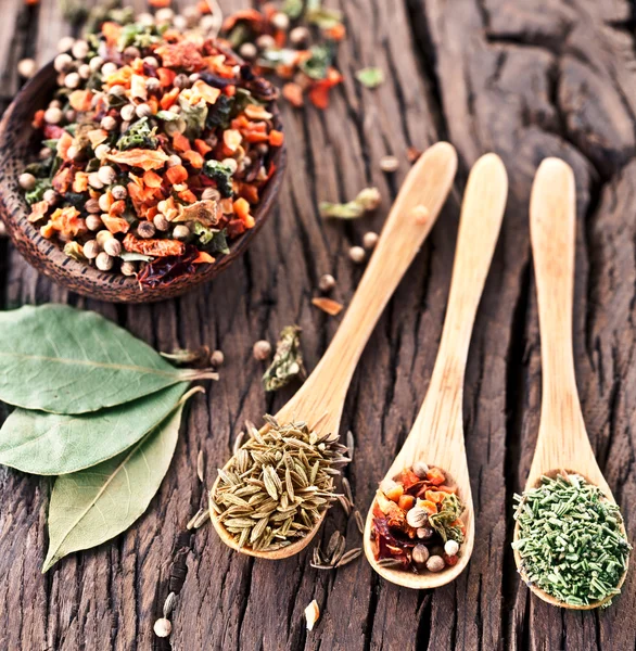 Variety of spices in the spoons. — Stock Photo, Image