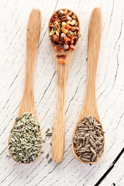 Variety of spices in the spoons. — Stock Photo, Image
