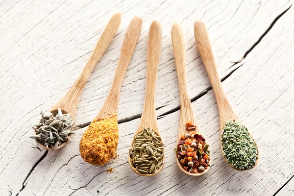 Variety of spices in the spoons. — Stock Photo, Image