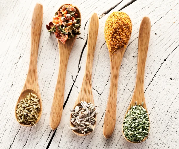 Variety of spices in the spoons. — Stock Photo, Image