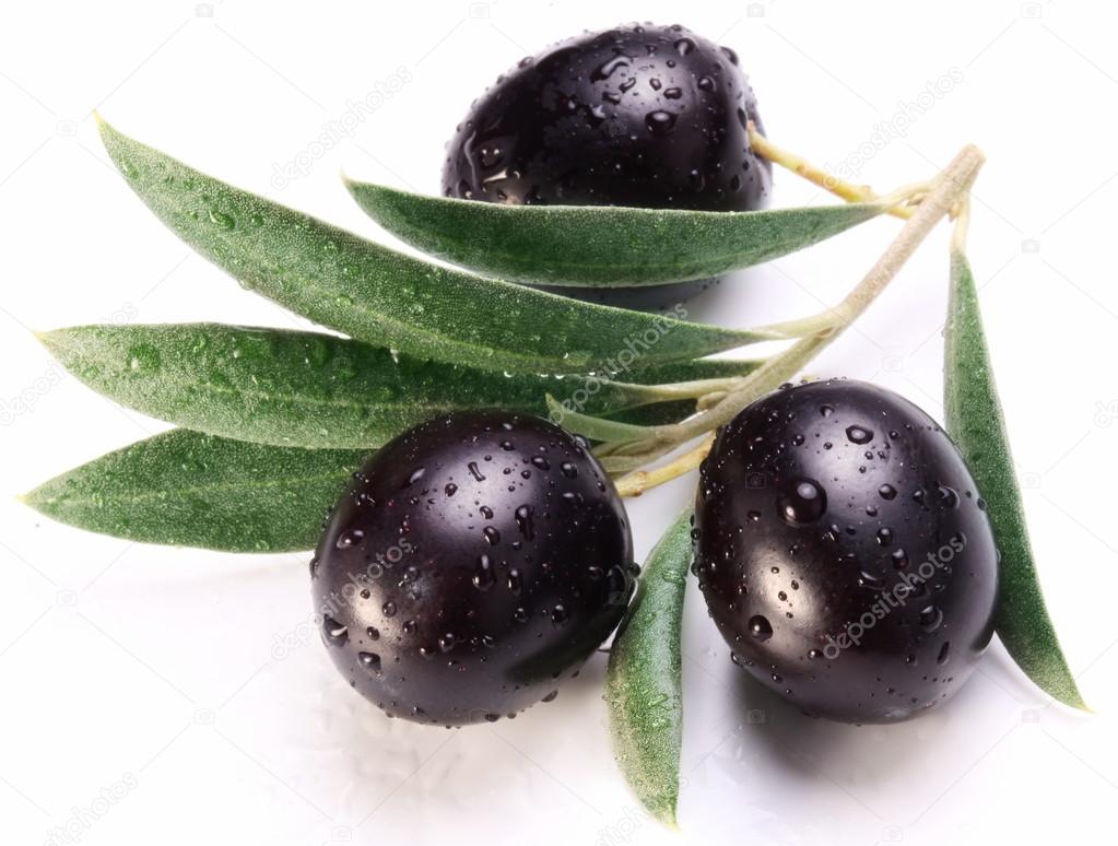 Ripe black olives with leaves. Stock Photo by ©Valentyn_Volkov 18973393