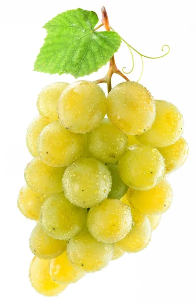 Grappolo d'uva. — Foto Stock
