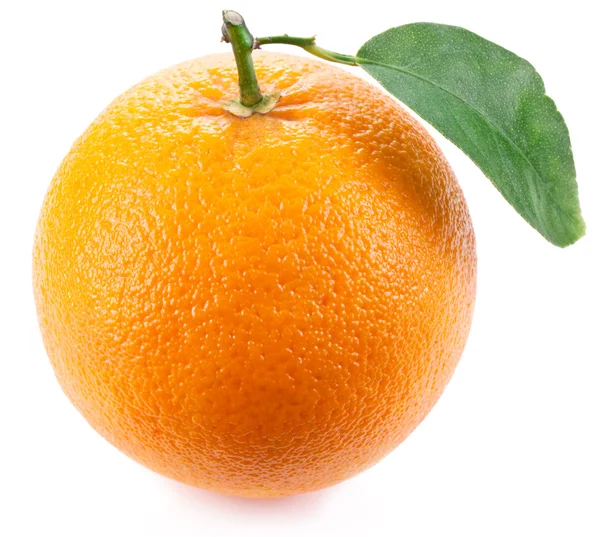 Orange med blad på vit bakgrund. — Stockfoto