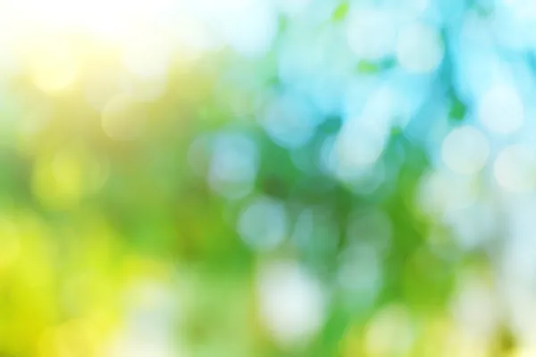 Desenfoque de fondo de la naturaleza en primavera . — Foto de Stock