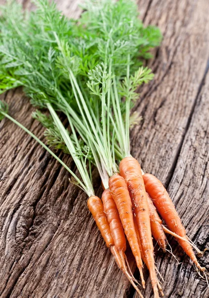 Morötter med blad — Stockfoto