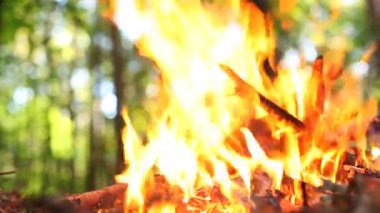 şenlik ateşi yakın orman