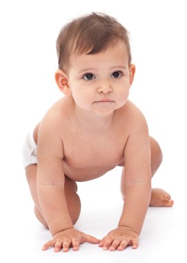 11 monthes baby isolated on a white background. clipart
