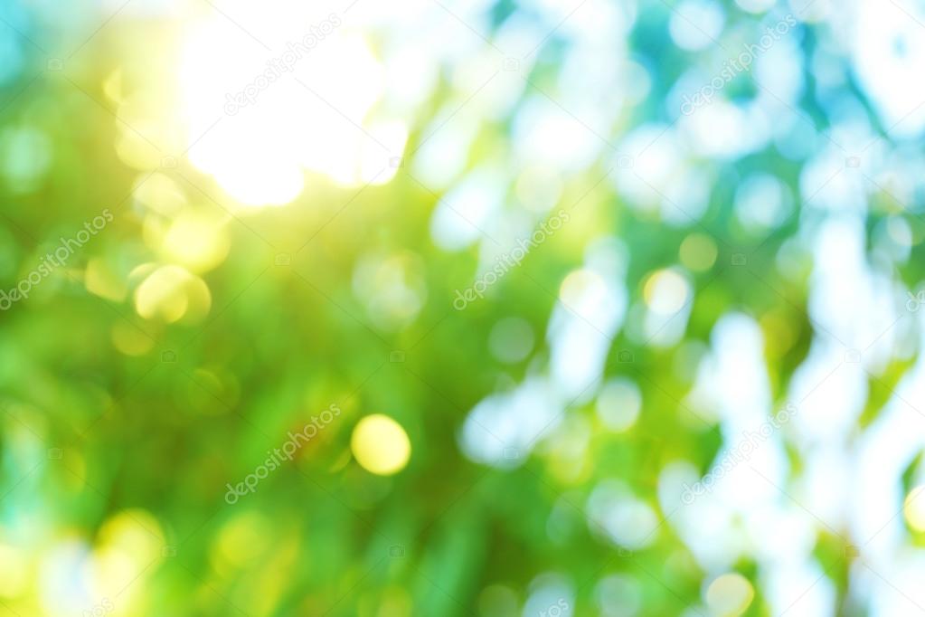 Background blur of nature in spring.