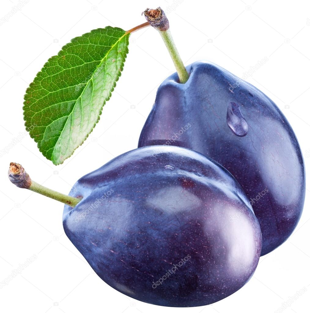 Two plums with a leaf