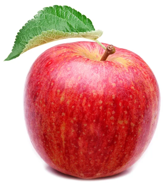 Rode appel met blad. — Stockfoto